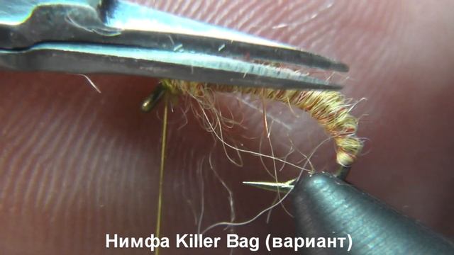 Нимфа KillerBag (вариант) смотреть онлайн