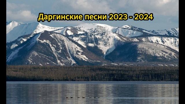 Даргинские песни 2023 - 2024