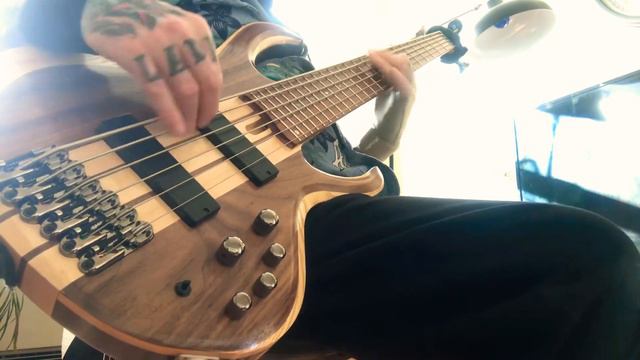 L.A.Changes(the section) #basscover Ibanez🎸BTB6🎸 смотреть онлайн
