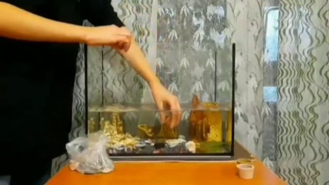 ✔️Первая обустройка моего аквариума✔️ смотреть онлайн