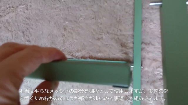 増えてきた多肉の置き場所確保のため、棚を購入し作成しました。ベランダで多肉生活始めました。　のんびり多肉植物の成長を記録していきます。#58 смотреть онлайн