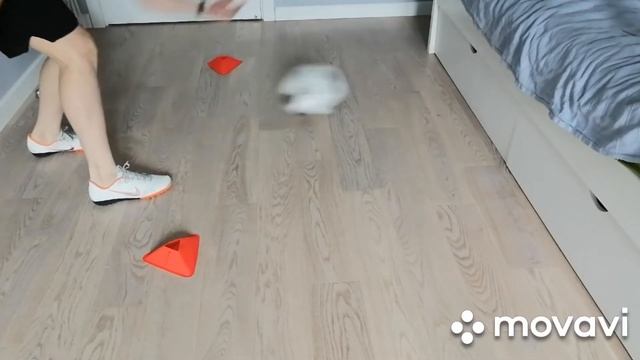 Тренировка на прием мяча смотреть онлайн