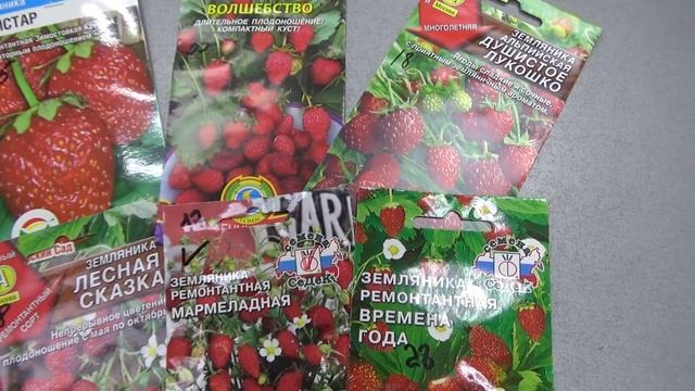 Посев земляники в июле??? смотреть онлайн