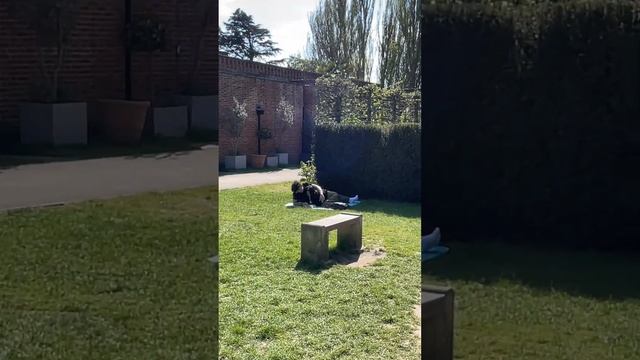 Парки Лондона Holland Park | Холланд парк в Англии | Обзор парка в Лондоне | Великобритания смотреть онлайн