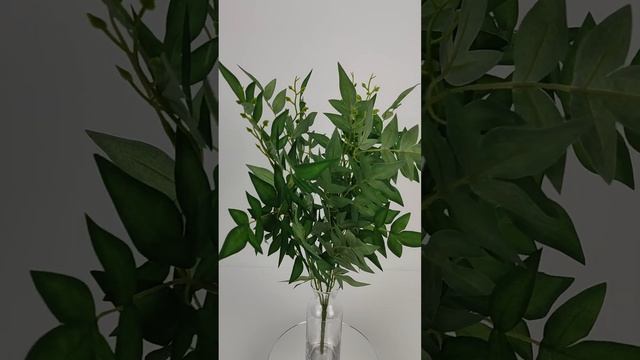 Рускус Монэ смотреть онлайн