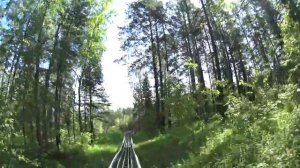 Спуск на родельбане без тормозов. Бобровый лог Красноярск