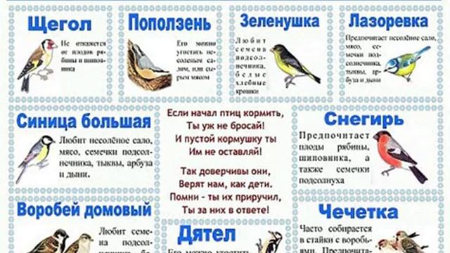 Птицы. Строение птицы. Какие бывают перья. Виды птиц. Чем питаются птицы