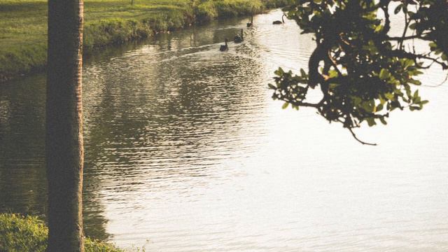 3 Hours Of Amazing MUSIC - Music For Stress Relies.| Nature Relaxation | Relaxing Music. Meditation