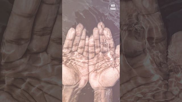 Что спасёт человека от наказания в могиле? смотреть онлайн