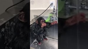 Когда пора на работу, а проснуться все не можешь ☺