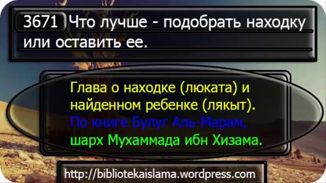 3671 Что лучше подобрать находку или оставить ее смотреть онлайн