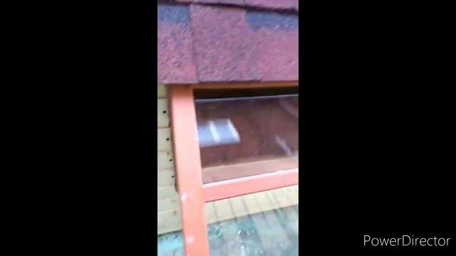Новоселье в утином домике с водоёмом. Устройство лавочек для уток. На выбор 4 эстафеты от 6 каналов смотреть онлайн
