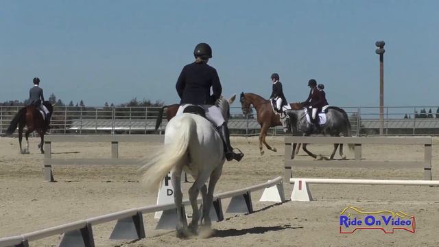 254D Georgina McCutcheon on Killian III JR Novice Dressage Woodside Oct. 2019 смотреть онлайн