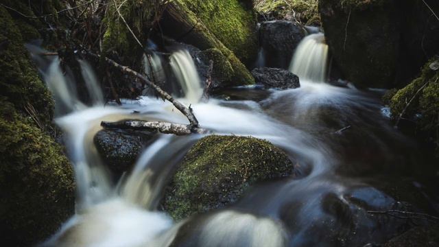 Flow смотреть онлайн