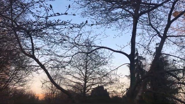 84/366? Остров Канта в Калининграде! Перерыт будто после бомбёжки! смотреть онлайн