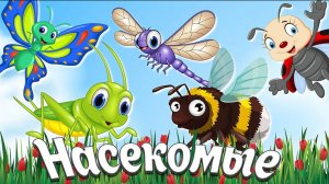 НАСЕКОМЫЕ ДЛЯ ДЕТЕЙ +  Учим насекомых + МУЛЬТИКИ ПРО НАСЕКОМЫХ  + Развивающие и обучающие мультики
