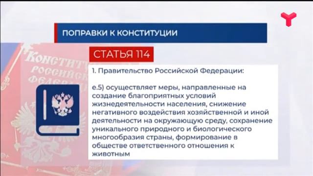Поправка в Конституцию об ответственном отношении к животным смотреть онлайн