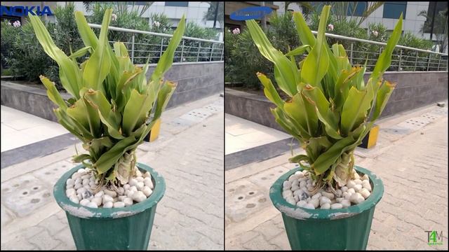 Samsung J8 vs Nokia 7 Plus Camera Comparison|Samsung J8 Camera Review|Samsung Galaxy J8 Infinity смотреть онлайн