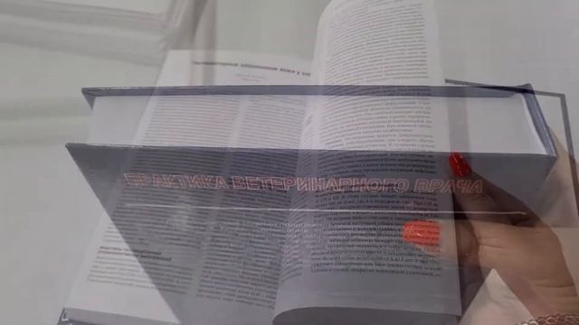 Классическая книга формата А4 в твердом переплете на КБС смотреть онлайн