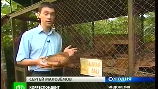 Кофе "ЛЮВАК" смотреть онлайн