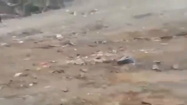 Американцы знают ли что медведи по российским свалкам гуляют! смотреть онлайн