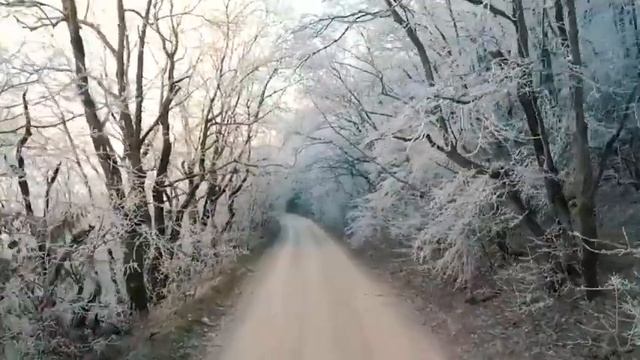 Что нельзя дарить любимому на 23 февраля/ Не ешьте морепродукты / Приметы дня смотреть онлайн