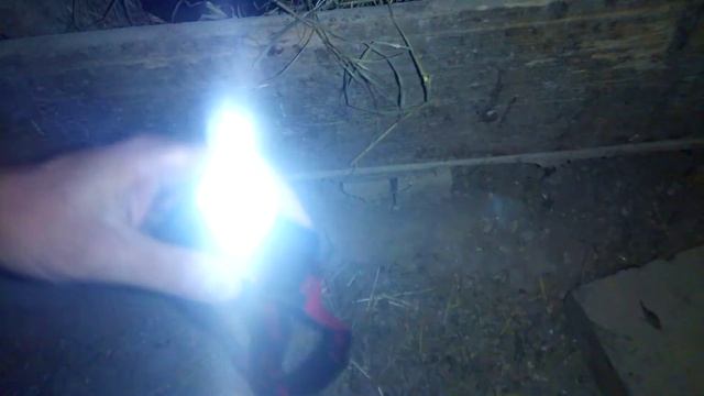 Как проверить куриные яйца на неоплод. смотреть онлайн