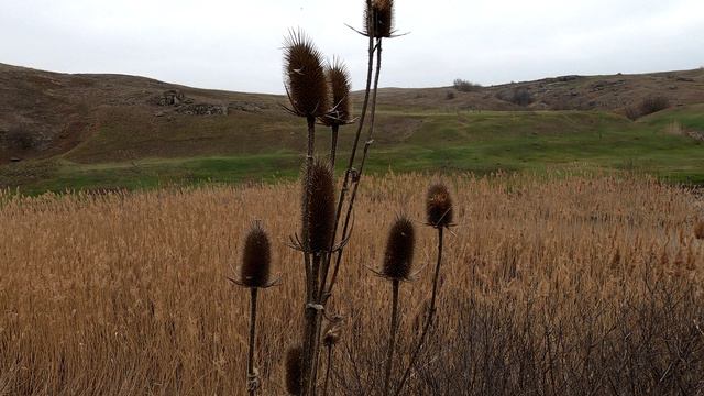 Кальмиусский кластер заповедника "Степь Донецкая". Вторая версия. ДНР смотреть онлайн