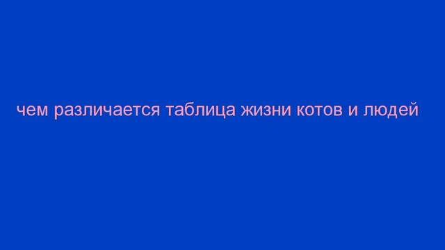 Возраст кота по отношению людей. смотреть онлайн