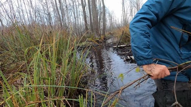 Нашел запасы бобра на реке. Расчищаю. смотреть онлайн