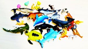 ИГРУШКИ распаковка РЕЗИНОВЫЕ МОРСКИЕ акула и ЖИВОТНЫЕ ПЛАНЕТЫ видео для детей развлечение с детьми