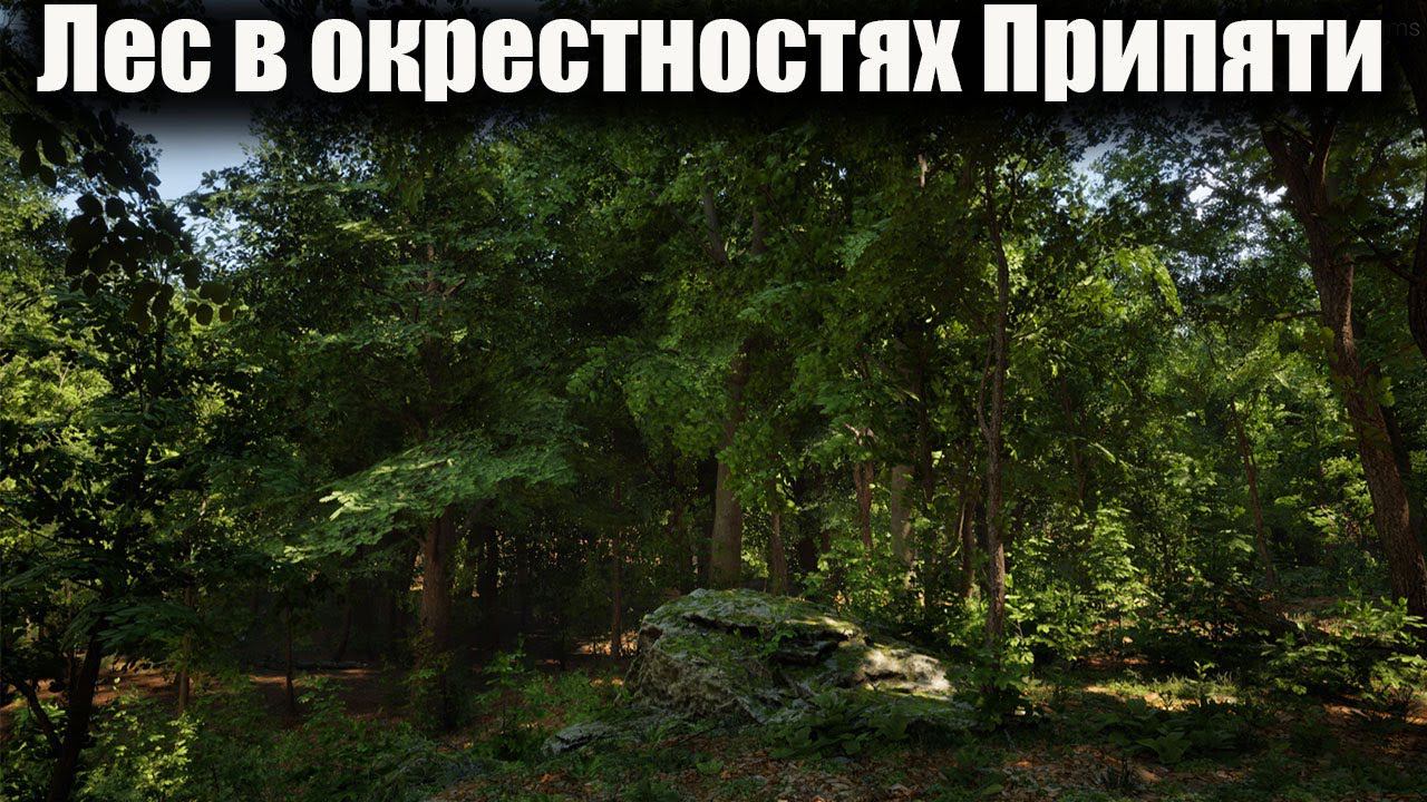 S.T.A.L.K.E.R. 2 Лес в окрестностях Припяти. смотреть онлайн
