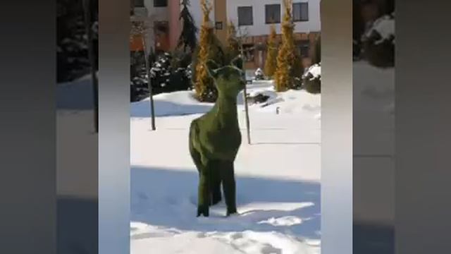 18 февраля 2021 г. рождественская история