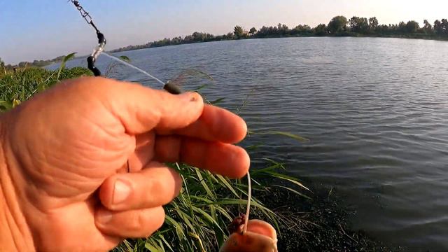 И всё таки Я ЕГО ПОЙМАЛ / мелкие сомики замучили / Днестр / Маяки смотреть онлайн