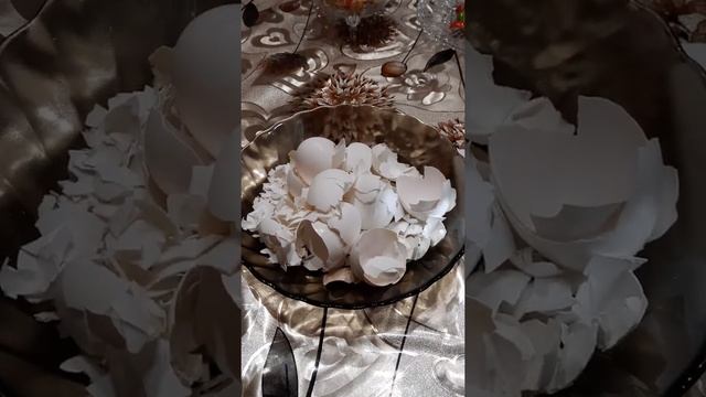 Яичная скорлупа как подкормка. Настой из скорлупы. смотреть онлайн