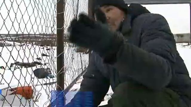 2017 11 13 А Кабулов Свалка ТБО в Белоярске смотреть онлайн