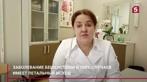 Как протекает болезнь бешенством перед смертью