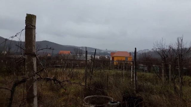 Алушта, оливковая роща, Нижняя Кутузовка, продажа ровного участка . смотреть онлайн
