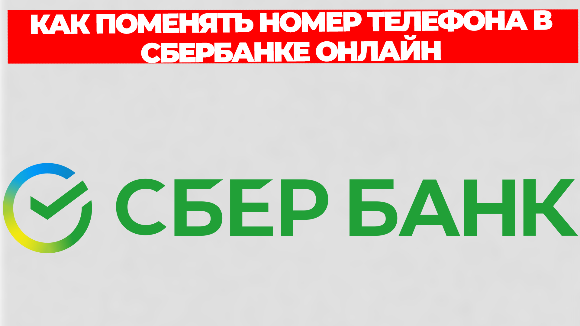 Всезнающий Енот