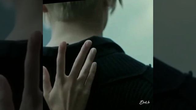 Цвет ночи... (автор ролика Е.Журавлëва)