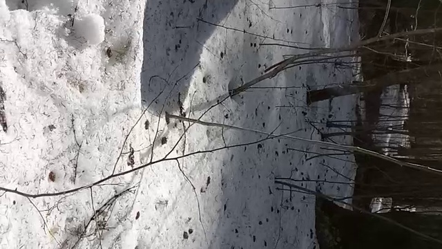 По следу лося. смотреть онлайн