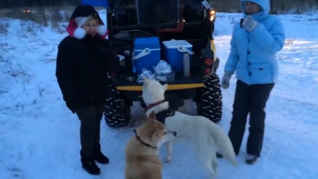 Рождество, вторая часть смотреть онлайн