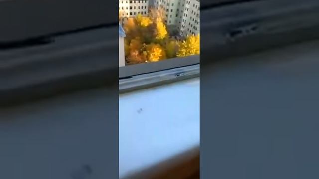 Реставрация алюминиевых окон - Чиним-Окна.Москва смотреть онлайн