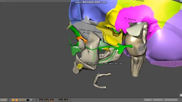 Магические практики