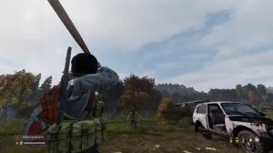 Старый добрый DAYZ