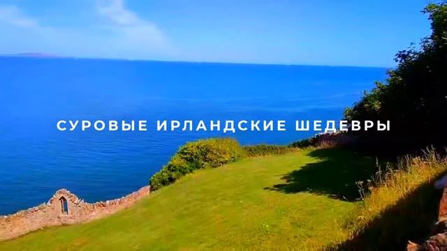 Ирландская суровая сирень растет из камня в августе. смотреть онлайн