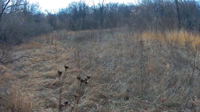 речка нугуш.вторая серия смотреть онлайн