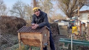 Кенийский-Греческий улей