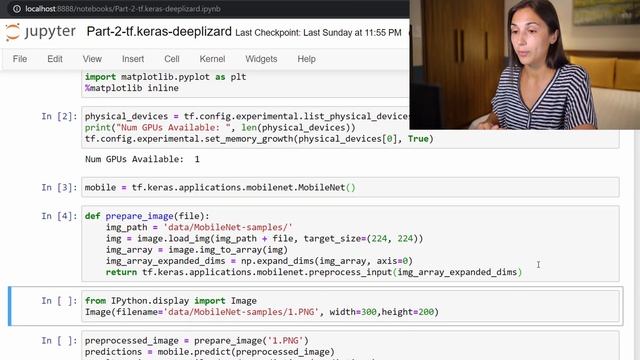 MobileNet Image Classification with TensorFlow's Keras API смотреть онлайн