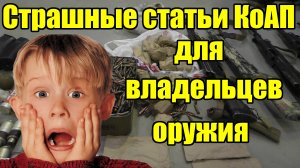 За какие статьи сразу лишат оружия? Статьи с административным арестом.